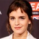 Actor de Glee es la nueva pareja de Emma Watson: fotografías así lo confirman