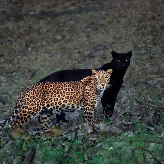 463966844_122172098690250431_5715985363117078256_n