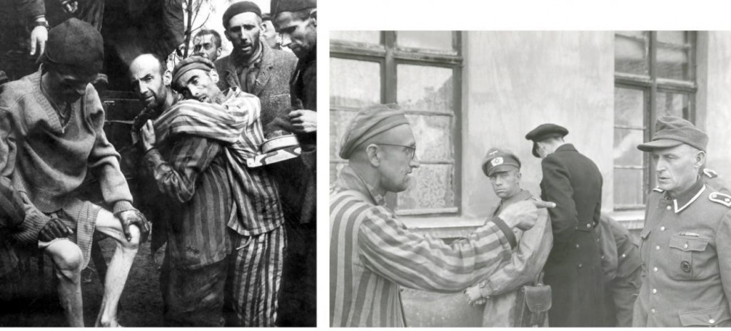 1YFlgafB8wTNOtToy0p7