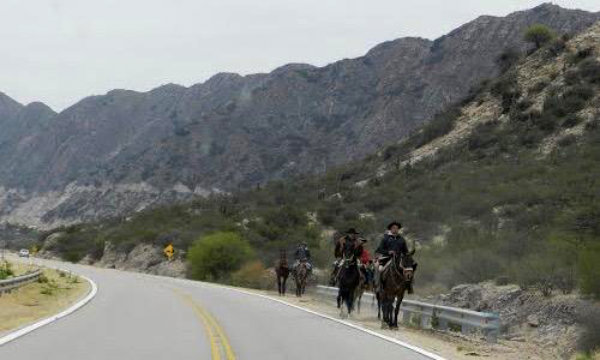 Detienen a caballos y jinetes