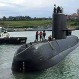 “Comando”: La conmovedora historia del perro que acompañaba al submarino ARA San Juan