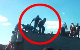 Tren descarriló con vino de alta calidad y fue saqueado por miles de personas