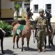 Ejército argentino se equipa con camélidos de alta montaña para abastecer puestos fronterizos