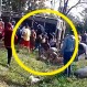 Camión con cerdos fue saqueado por decenas de personas luego de volcar en la carretera