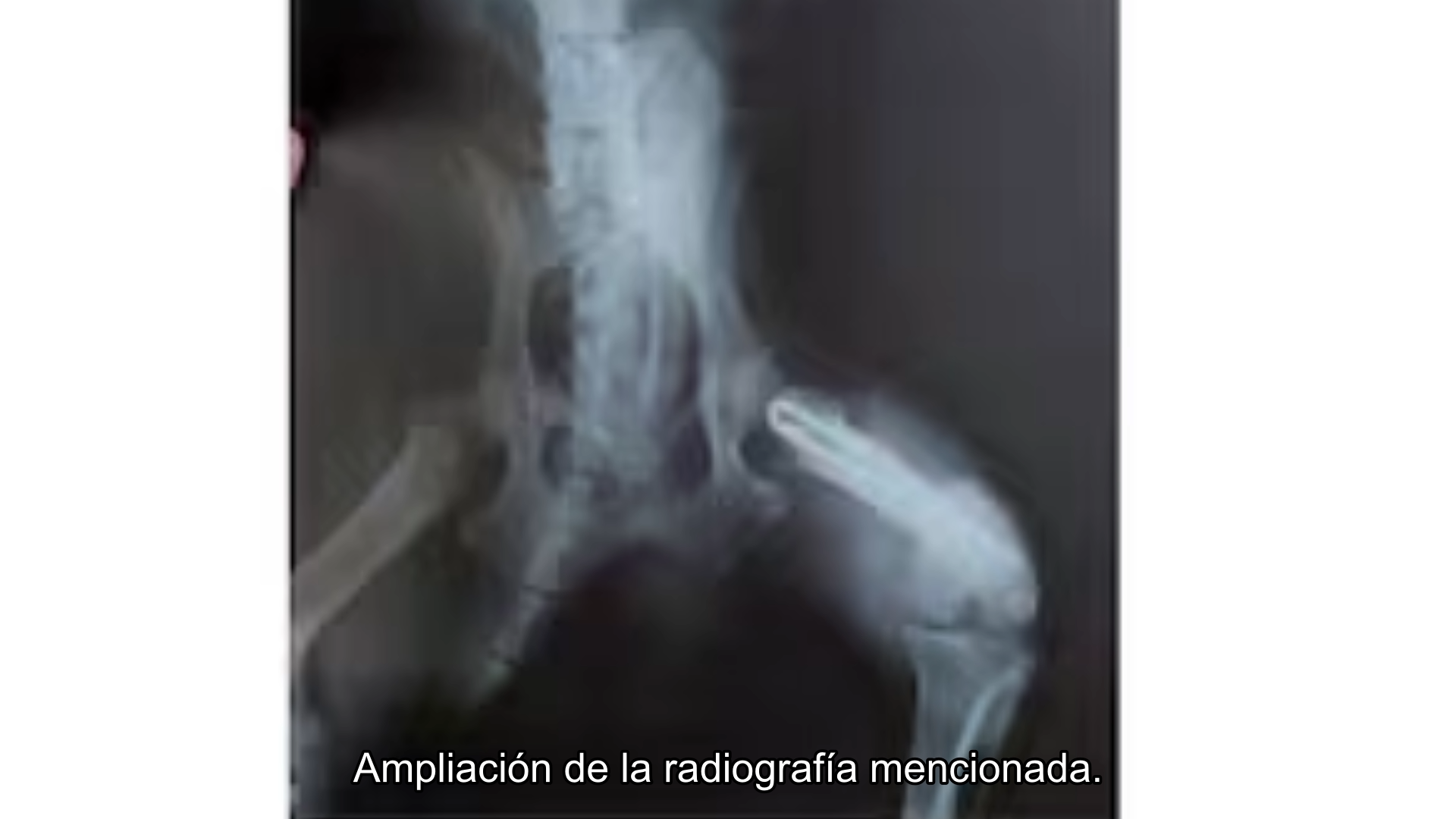 sin nombre-f009415