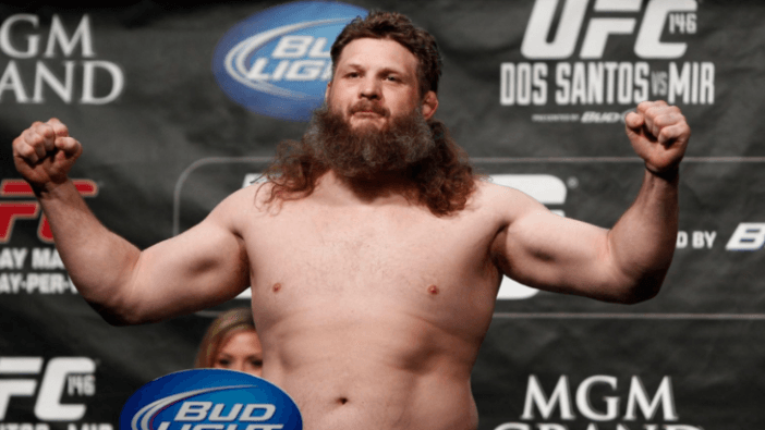 roy nelson 2