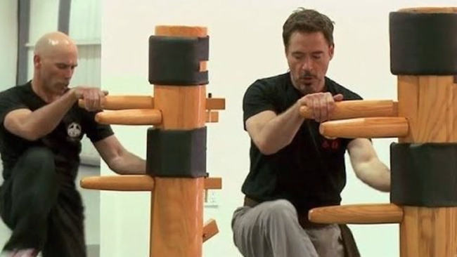 robert downey jr. wing chun