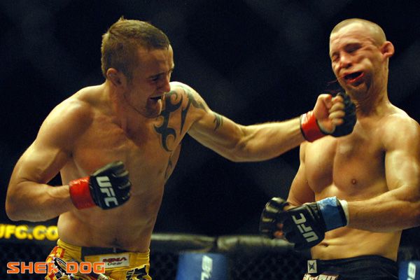 punch faces 6