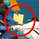 Profesor de Karate protagonizó gran ridículo frente a sus alumnos: Todos se burlaron
