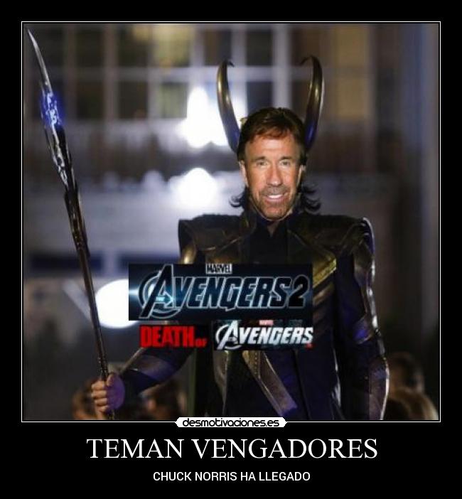 chuck norris avenger 2