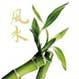 Feng-Shui, ¿por qué ordenar las cosas es tan importante?