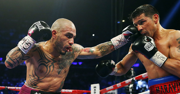 cotto