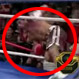 Estrepitoso nocaut tira fuera del ring a un boxeador argentino