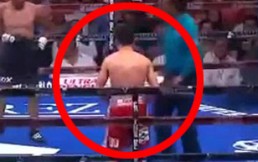 Boxeador realiza el acto más impropio posible durante una pelea y en pleno ring