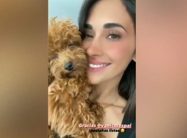 Sin título