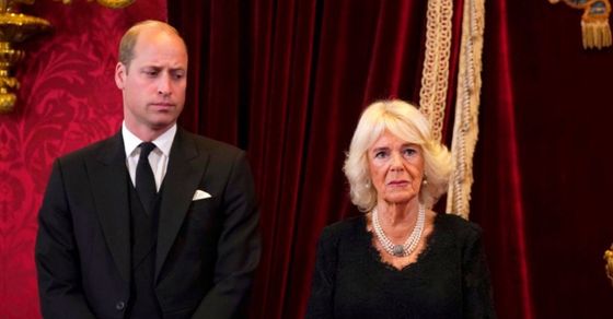 principe william 1