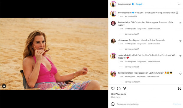 Brooke Shields acaba de cumplir 59 años / www.instagram.com/brookeshields