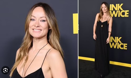 Olivia Wilde deslumbró en premiere de la cinta "Parpadea Dos Veces" / www.dailymail.co.uk