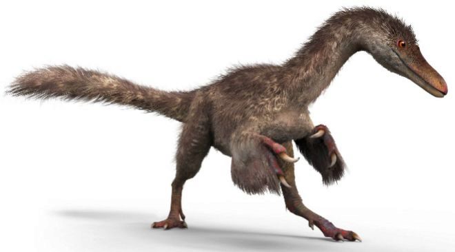 Foto: Manirraptor. /elmundo.es
