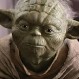 Descubren un animal idéntico al maestro “Yoda” de Star Wars