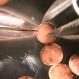 Investigadores anuncian que crearon las primeras máquinas biológicas de la historia: ¿Cómo lo lograron?