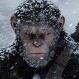 Lanzan nuevo tráiler de “El Planeta de los Simios: La Guerra”: imperdible adelanto