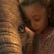 Mira el primer tráiler oficial ‘Dumbo’ de Tim Burton: Imposible no emocionarse