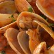 Almejas con Tomate y Perejil, receta fácil y rápida de cocinar