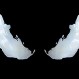 Venom: Sony y Marvel estrenan el primer y escalofriante tráiler