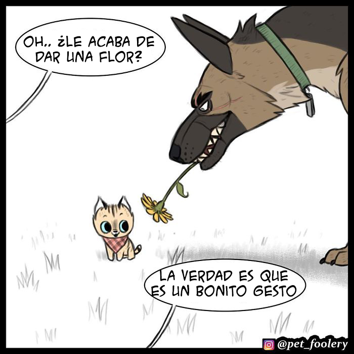 pixiebrutus-01