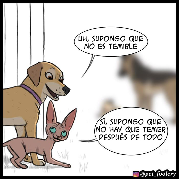 pixiebrutus-02