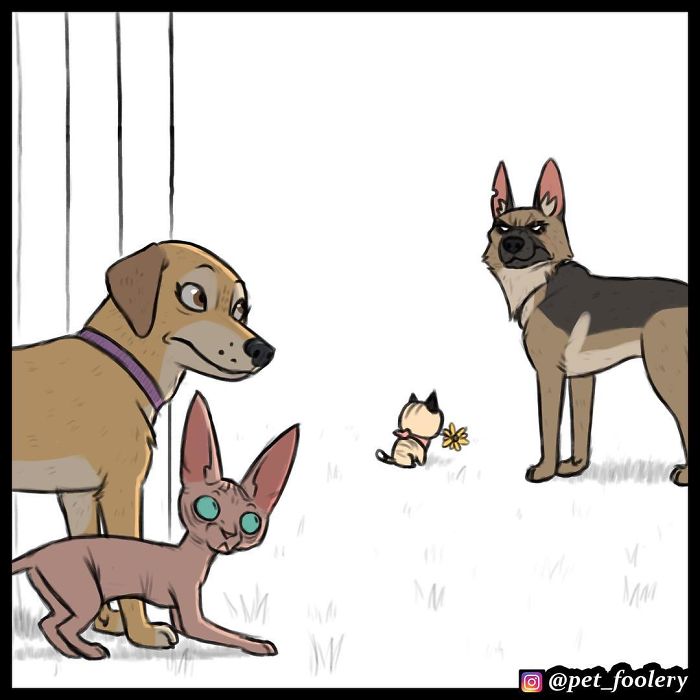 pixiebrutus-03