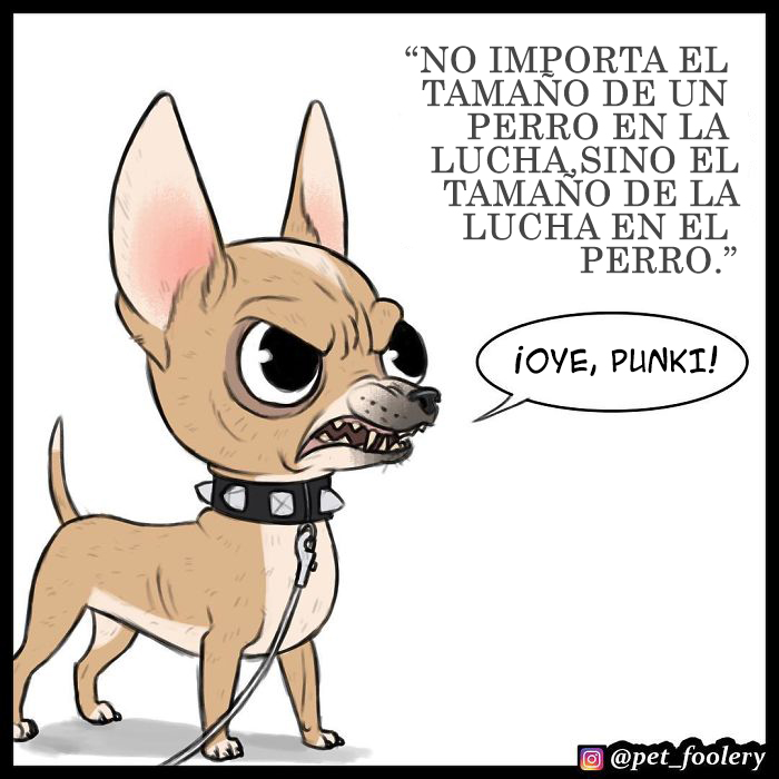 pixiebrutus-1