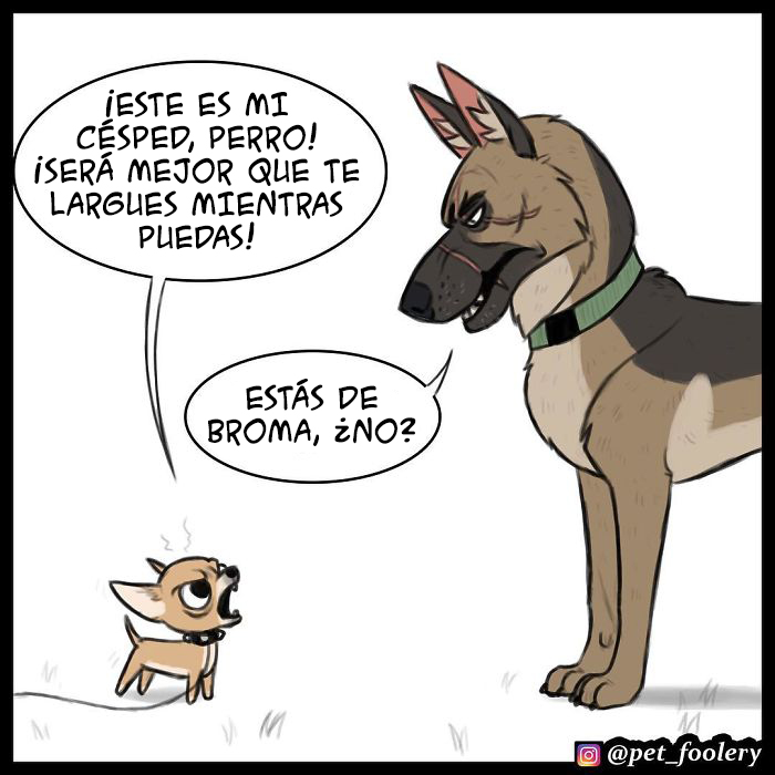 pixiebrutus-2
