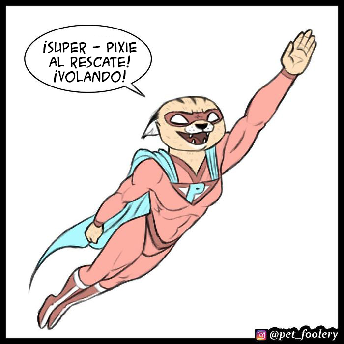 pixiebrutus00