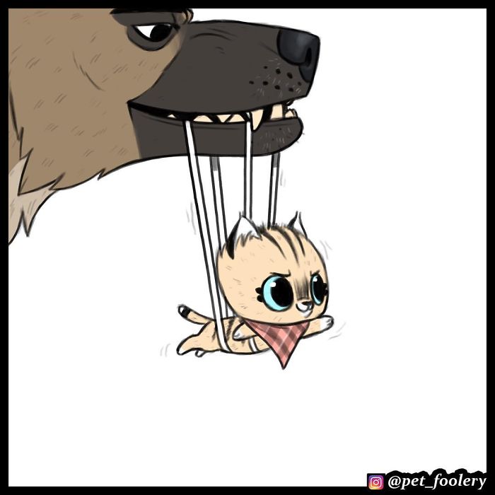 pixiebrutus01