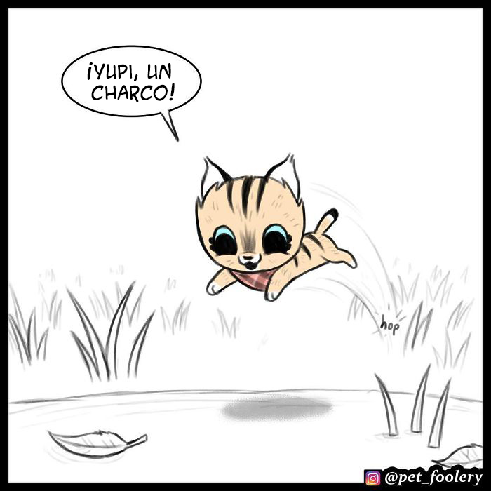 pixiebrutus1