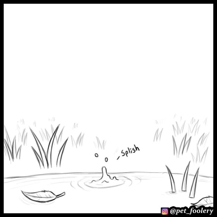 pixiebrutus12