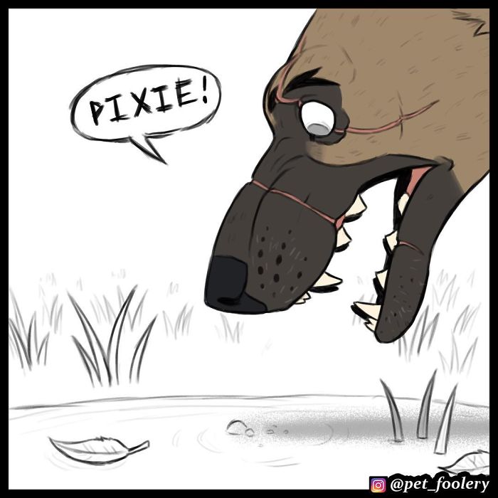 pixiebrutus14
