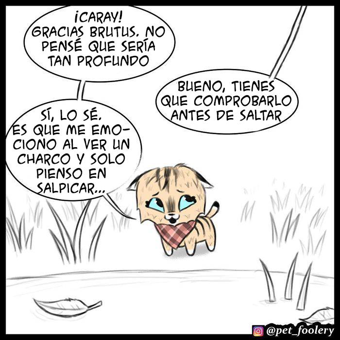 pixiebrutus16