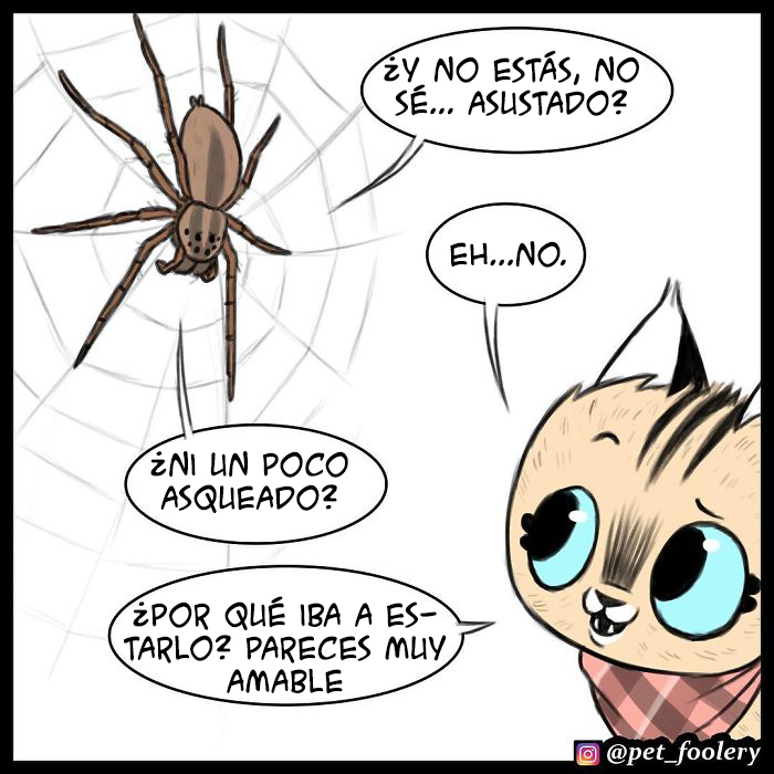 pixiebrutus22