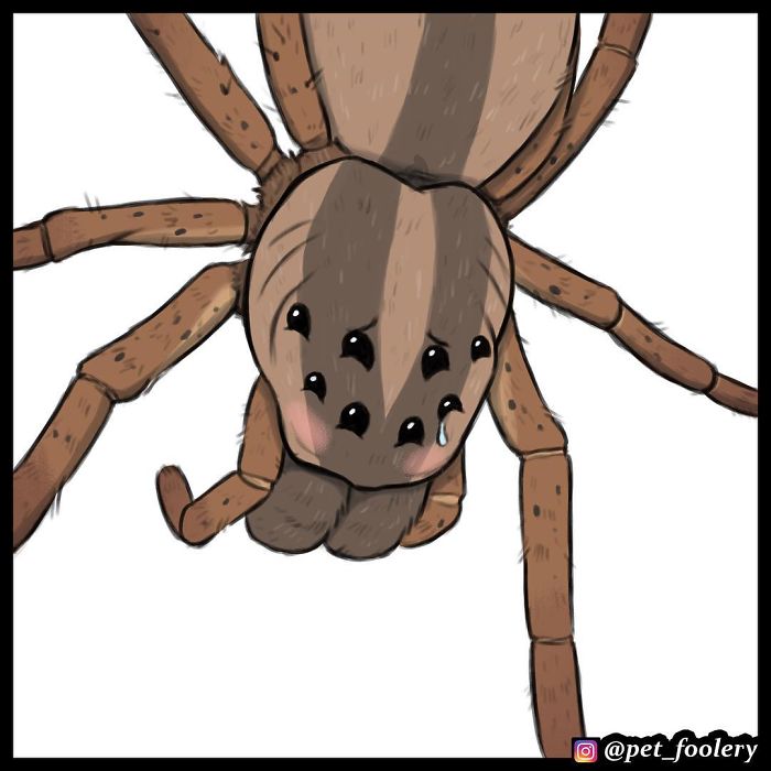 pixiebrutus23