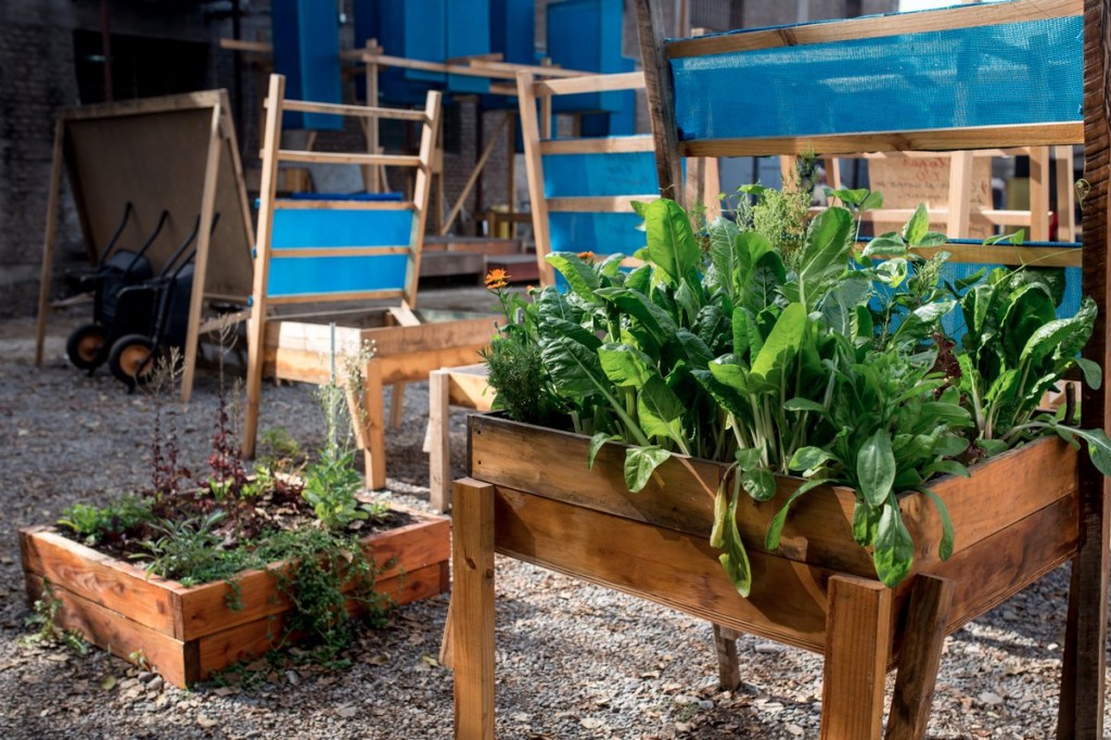 CuqB-EMWAAEGECj