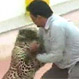 Leopardo que hirió a seis personas en India se escapa del zoológico