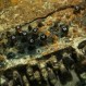 Encuentran famosa máquina “Enigma” usada por los Nazis para mandar mensajes secretos