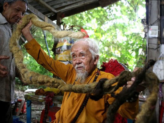 vietnam-longhair