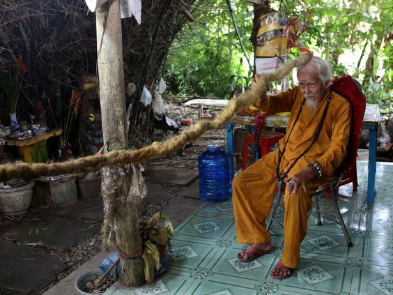 vietnam-longhair
