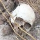 Encuentran cráneo de mujer de hace unos 5.600 años en una cueva italiana