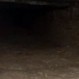 Misteriosos túneles medievales fueron encontrados en un jardín al sur de Gales