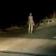 Extraña criatura caminaba sola en una ruta de India y generó múltiples comentarios: Sospechan montaje